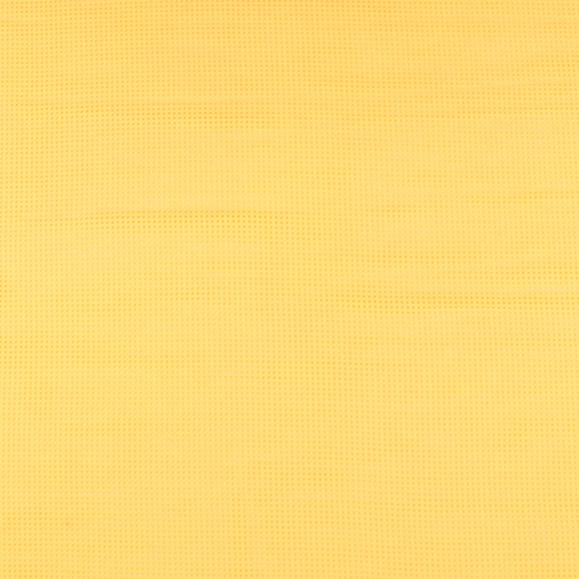 Fashion Mesh - COSTA BLANCA - 013 - Butter
